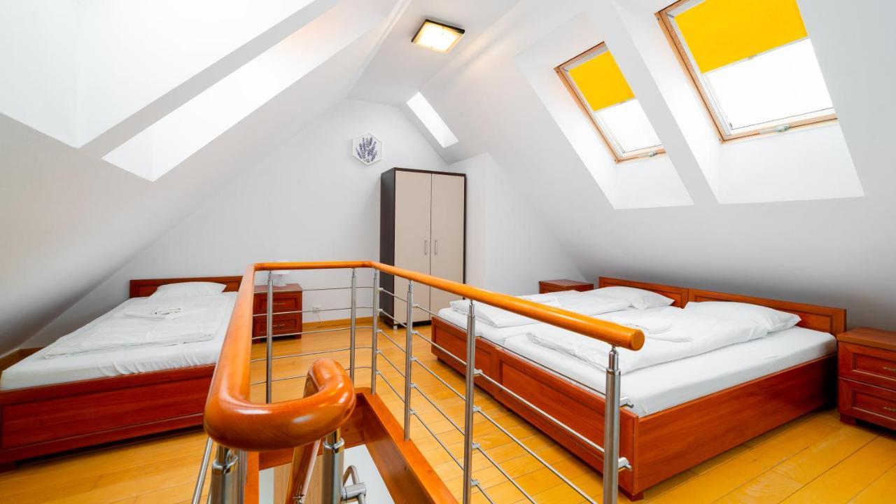 Apartamenty Sun & Snow Na Wilczej 卡尔帕奇 外观 照片